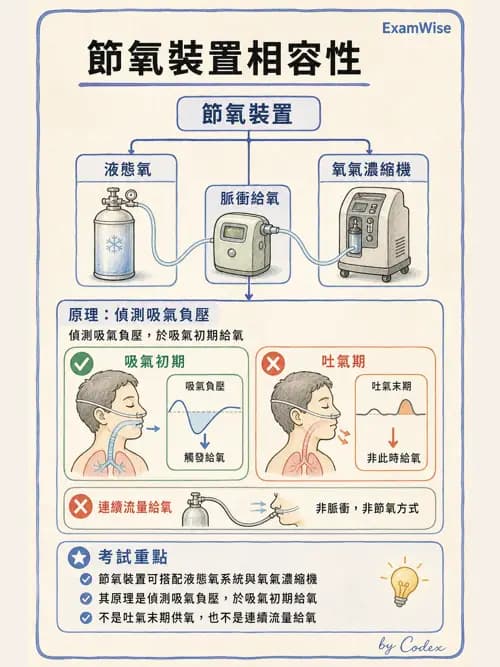 呼吸治療師 - 氣體輸送系統與氧氣治療 - AI 圖文解析預覽