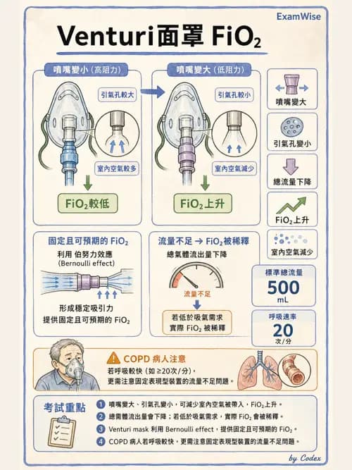呼吸治療師 - 氣體輸送系統與氧氣治療 - AI 圖文解析預覽