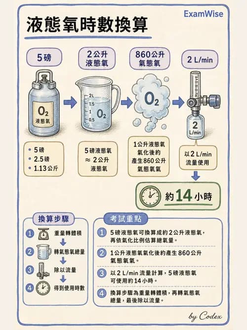 呼吸治療師 - 氣體輸送系統與氧氣治療 - AI 圖文解析預覽