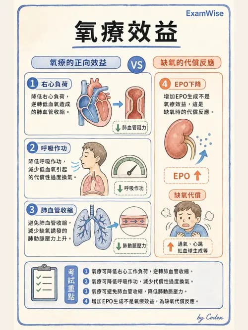 呼吸治療師 - 氣體輸送系統與氧氣治療 - AI 圖文解析預覽