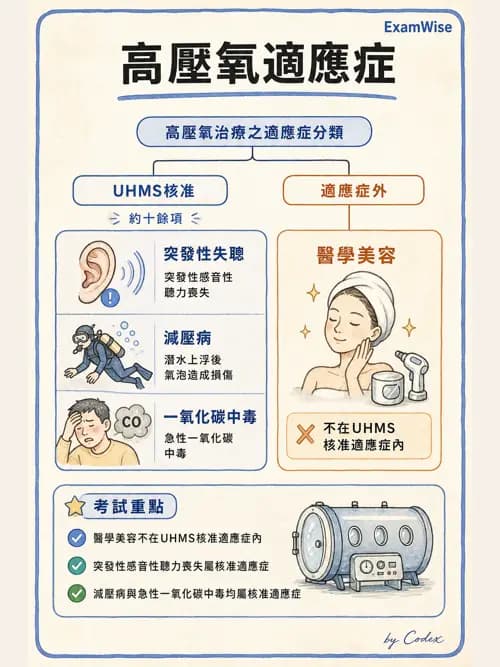 呼吸治療師 - 高壓氧治療 - AI 圖文解析預覽