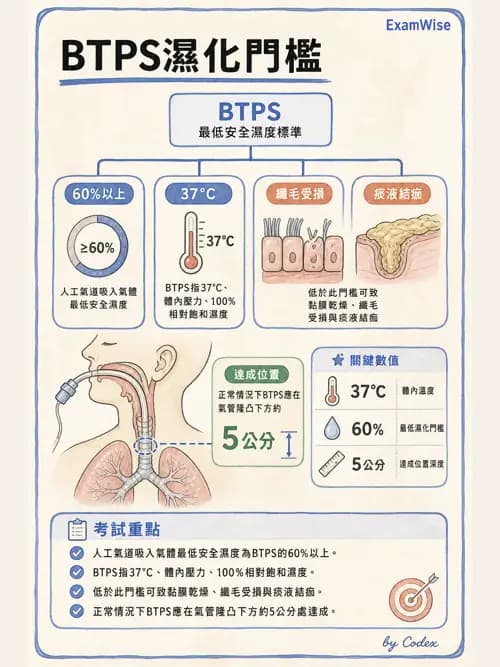 呼吸治療師 - 濕氣與霧氣治療 - AI 圖文解析預覽