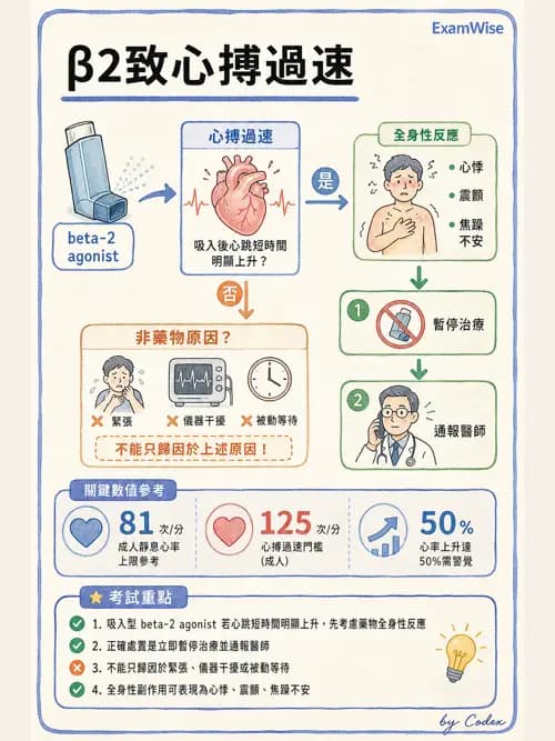 呼吸治療師 - 濕氣與霧氣治療 - AI 圖文解析預覽