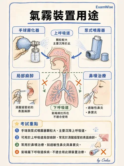 呼吸治療師 - 濕氣與霧氣治療 - AI 圖文解析預覽