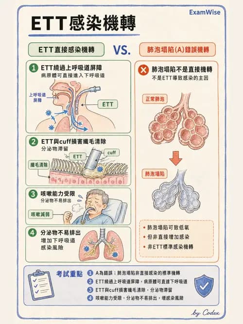 呼吸治療師 - 人工氣道處置 - AI 圖文解析預覽