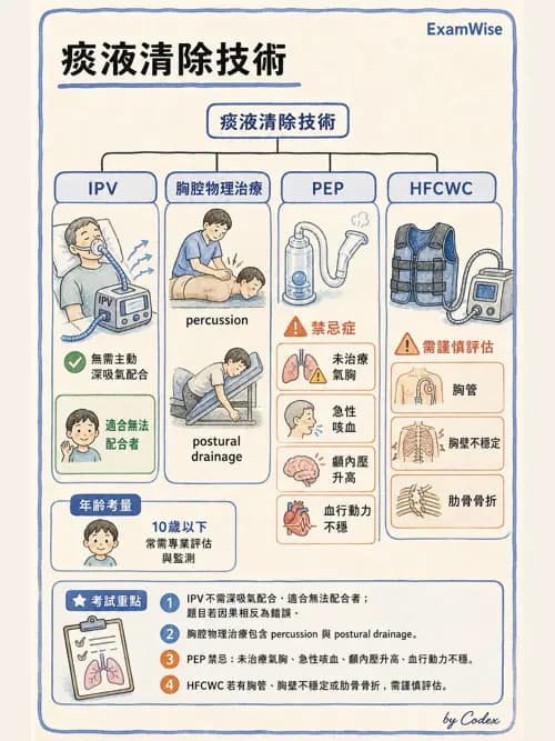 呼吸治療師 - 痰液清除與擴張治療 - AI 圖文解析預覽
