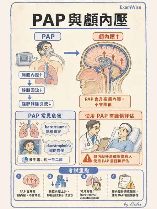 呼吸治療師 - 痰液清除與擴張治療 - AI 圖文解析預覽