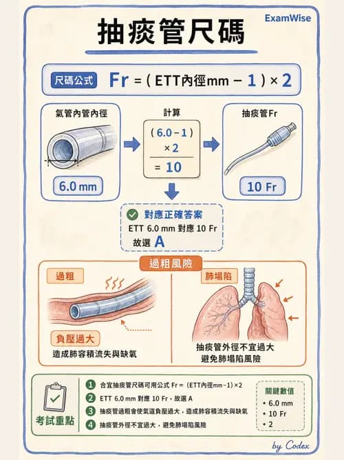 呼吸治療師 - 痰液清除與擴張治療 - AI 圖文解析預覽