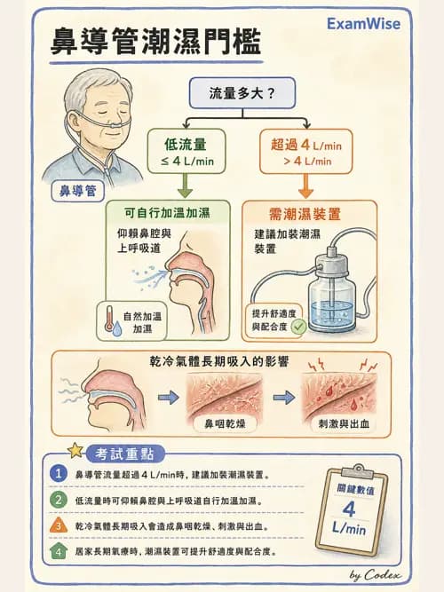 呼吸治療師 - 長期呼吸照護 - AI 圖文解析預覽