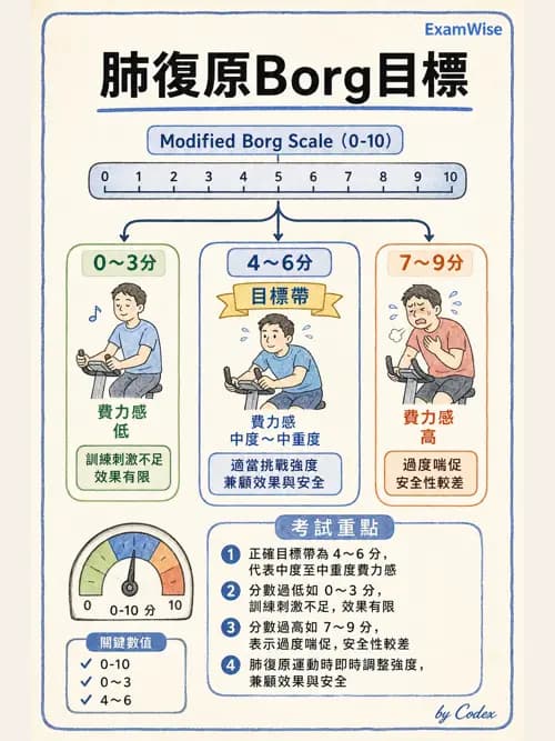 呼吸治療師 - 長期呼吸照護 - AI 圖文解析預覽