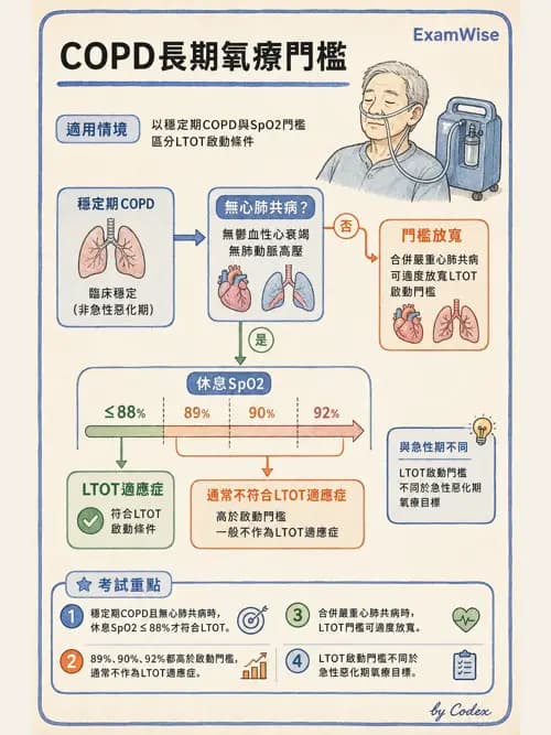 呼吸治療師 - 長期呼吸照護 - AI 圖文解析預覽
