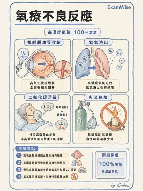 呼吸治療師 - 氣體輸送系統與氧氣治療 - AI 圖文解析預覽