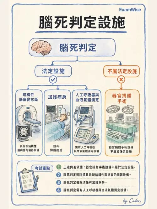 呼吸治療師 - 倫理、法規與安寧照護 - AI 圖文解析預覽