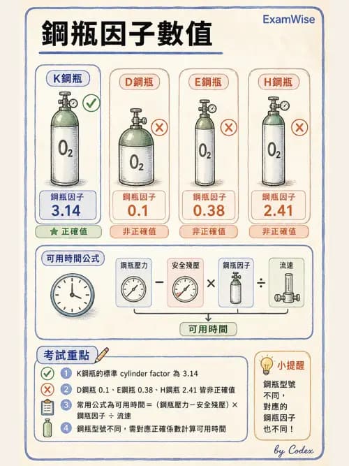 呼吸治療師 - 氣體輸送系統與氧氣治療 - AI 圖文解析預覽