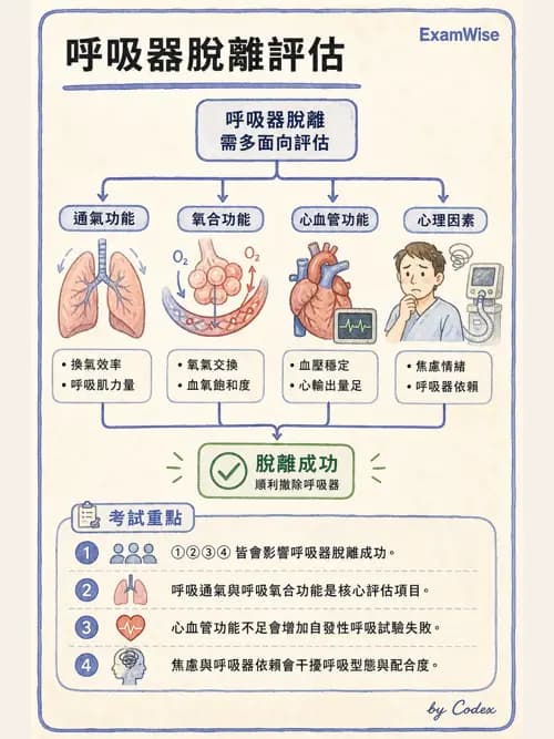 呼吸治療師 - 長期呼吸照護 - AI 圖文解析預覽