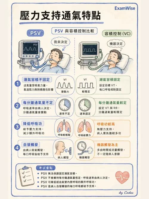 呼吸治療師 - 長期呼吸照護 - AI 圖文解析預覽