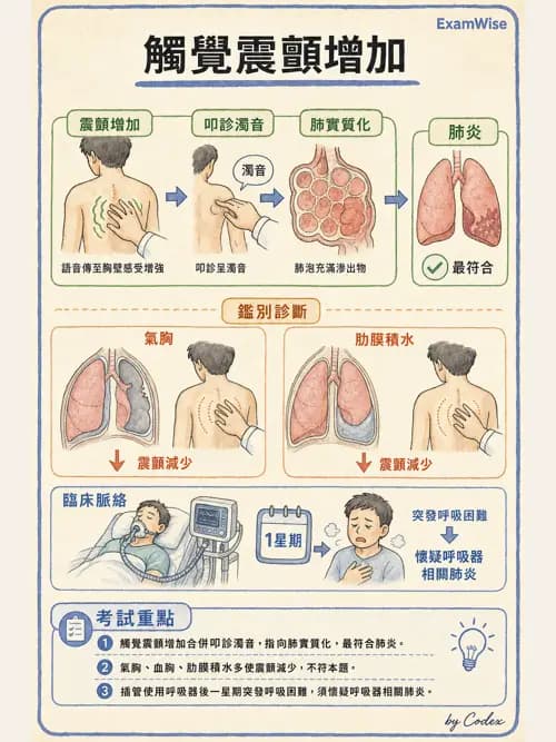 呼吸治療師 - 呼吸治療臨床作業與身體評估 - AI 圖文解析預覽