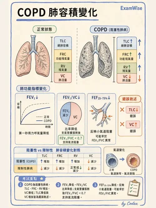 呼吸治療師 - 呼吸功能檢查 - AI 圖文解析預覽