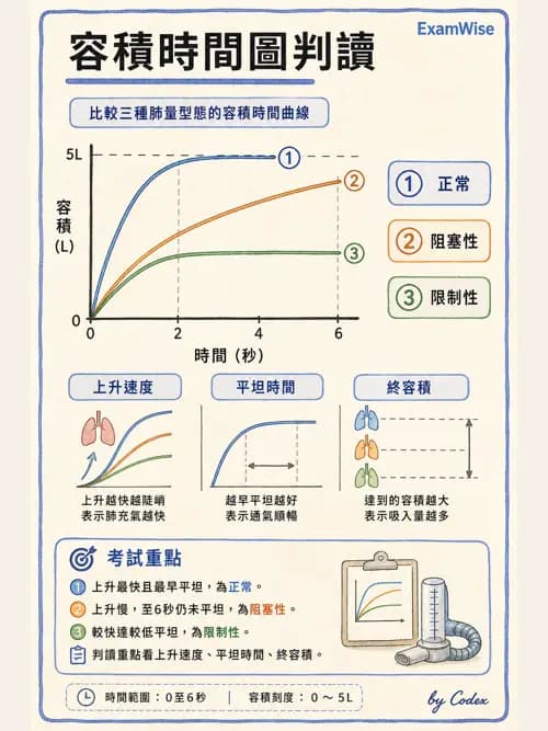 呼吸治療師 - 呼吸功能檢查 - AI 圖文解析預覽