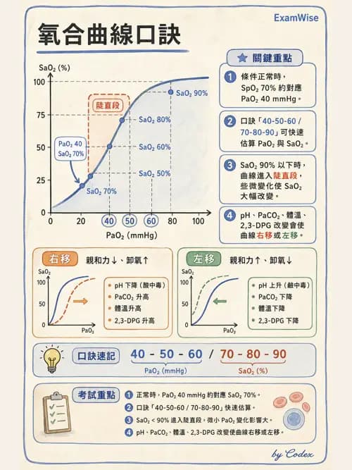呼吸治療師 - 動脈血液氣體分析與氧合評估 - AI 圖文解析預覽