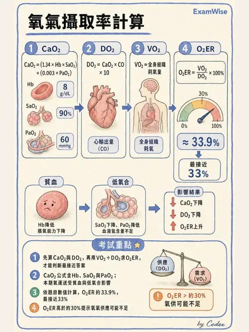 呼吸治療師 - 動脈血液氣體分析與氧合評估 - AI 圖文解析預覽