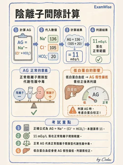 呼吸治療師 - 動脈血液氣體分析與氧合評估 - AI 圖文解析預覽