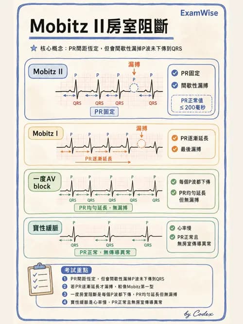 呼吸治療師 - 心血管評估與實驗室檢查 - AI 圖文解析預覽