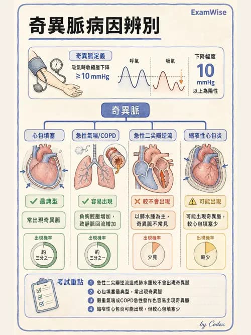 呼吸治療師 - 呼吸治療臨床作業與身體評估 - AI 圖文解析預覽