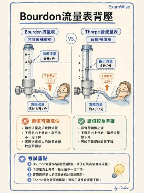 呼吸治療師 - 氣體輸送系統與氧氣治療 - AI 圖文解析預覽
