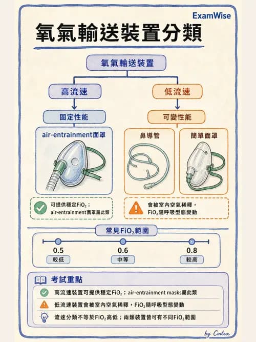 呼吸治療師 - 氣體輸送系統與氧氣治療 - AI 圖文解析預覽