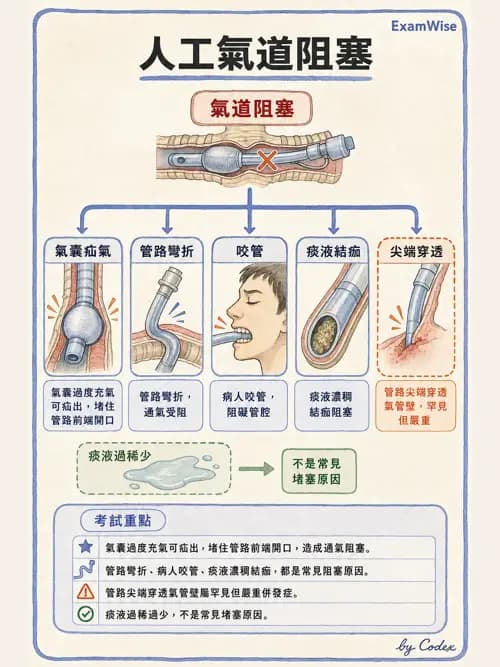 呼吸治療師 - 呼吸道照護與抽痰設備 - AI 圖文解析預覽