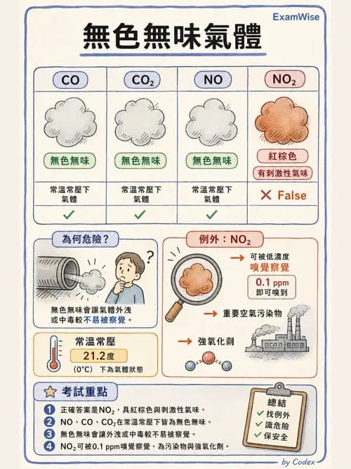 呼吸治療師 - 氣體物理學 - AI 圖文解析預覽