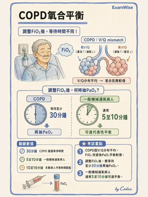 呼吸治療師 - 動脈血氣體分析設備 - AI 圖文解析預覽