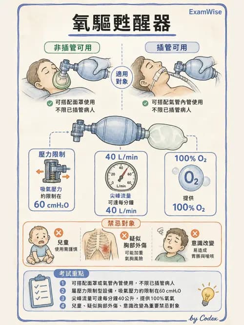 呼吸治療師 - 甦醒器設備 - AI 圖文解析預覽
