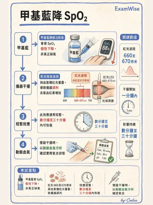 呼吸治療師 - 非侵入性呼吸監測設備 - AI 圖文解析預覽