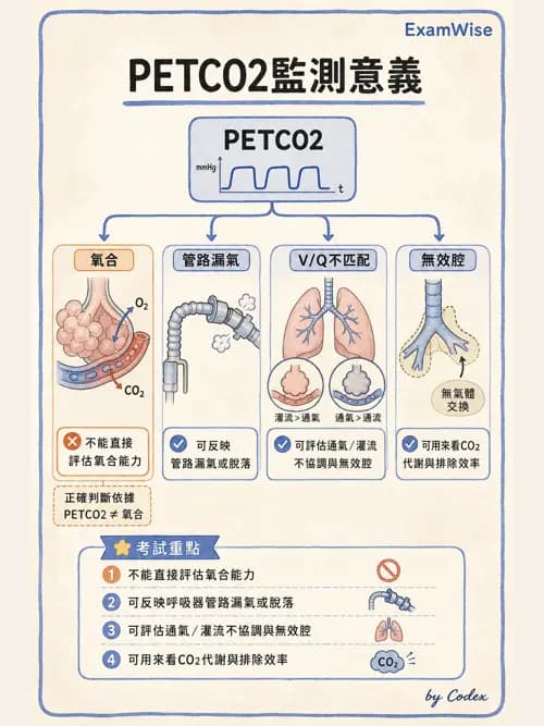呼吸治療師 - 非侵入性呼吸監測設備 - AI 圖文解析預覽