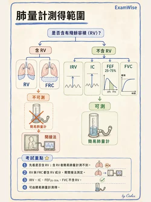 呼吸治療師 - 呼吸機械力學監測 - AI 圖文解析預覽