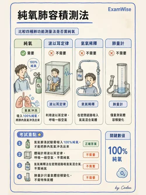 呼吸治療師 - 呼吸機械力學監測 - AI 圖文解析預覽