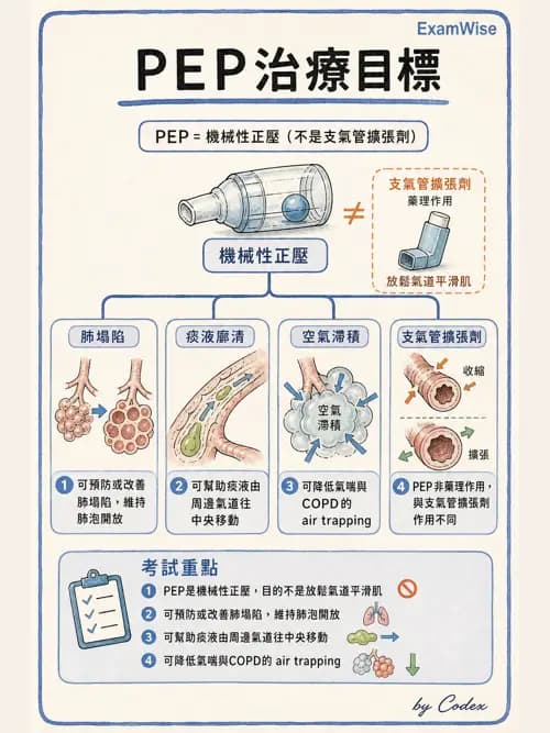 呼吸治療師 - 胸部擴張與物理治療設備 - AI 圖文解析預覽