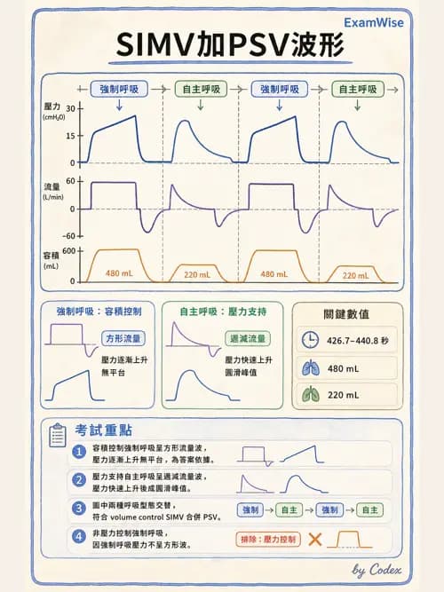 呼吸治療師 - 呼吸器圖形判讀與故障排除 - AI 圖文解析預覽