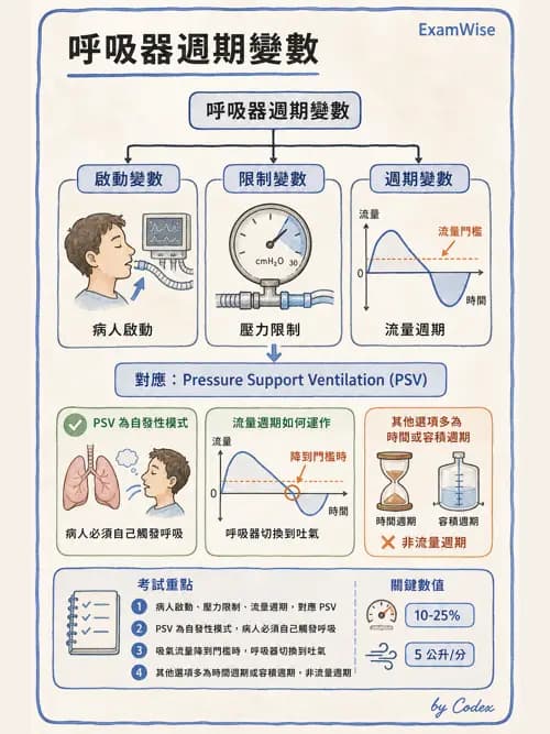 呼吸治療師 - 呼吸器設計與通氣模式 - AI 圖文解析預覽