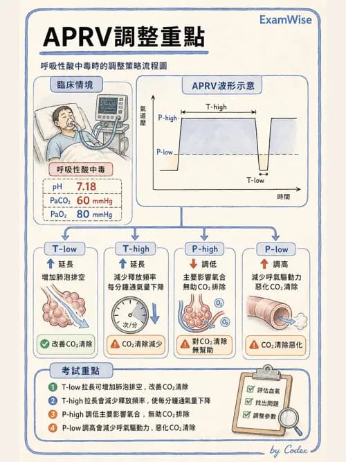 呼吸治療師 - 臨床設定、參數調整與脫離 - AI 圖文解析預覽