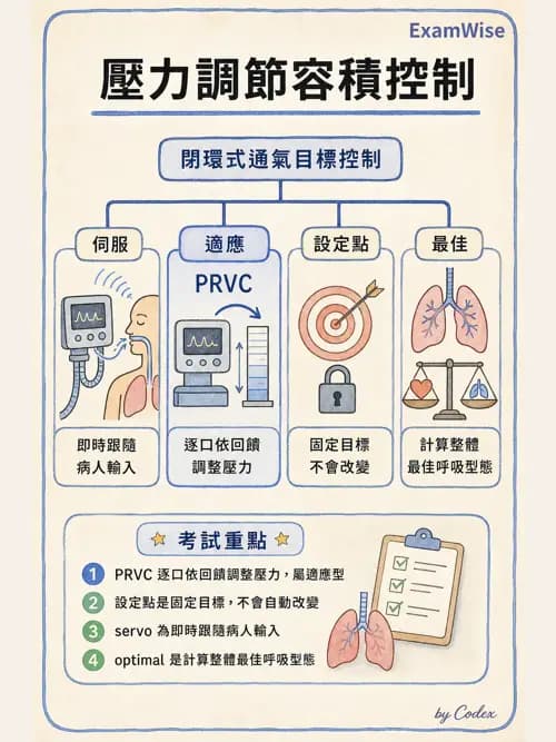 呼吸治療師 - 呼吸器設計與通氣模式 - AI 圖文解析預覽