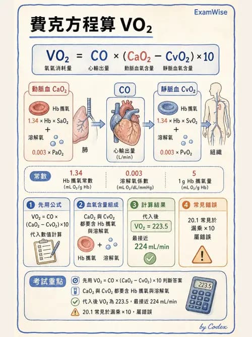 呼吸治療師 - 呼吸器監測與評估 - AI 圖文解析預覽