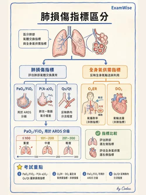 呼吸治療師 - 呼吸器監測與評估 - AI 圖文解析預覽