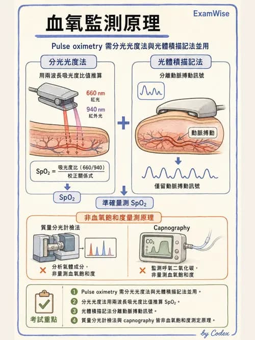 呼吸治療師 - 呼吸器監測與評估 - AI 圖文解析預覽
