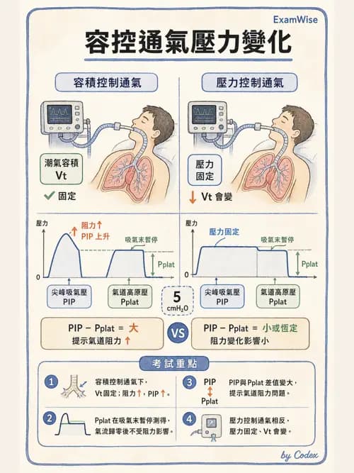 呼吸治療師 - 呼吸器監測與評估 - AI 圖文解析預覽