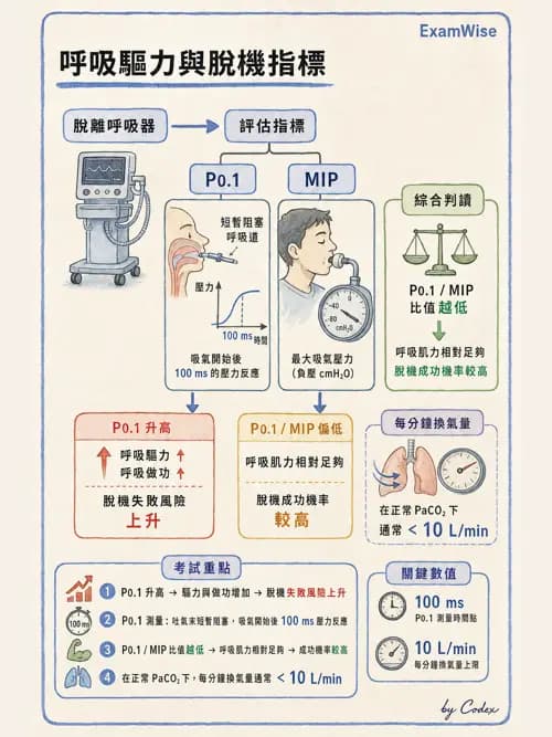 呼吸治療師 - 臨床設定、參數調整與脫離 - AI 圖文解析預覽