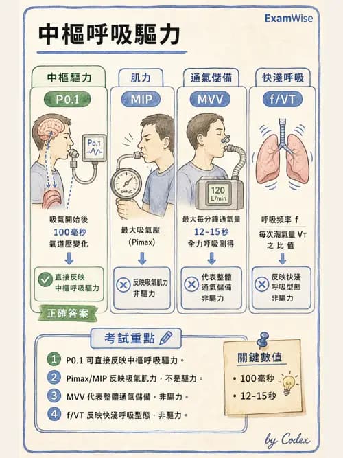 呼吸治療師 - 呼吸器監測與評估 - AI 圖文解析預覽