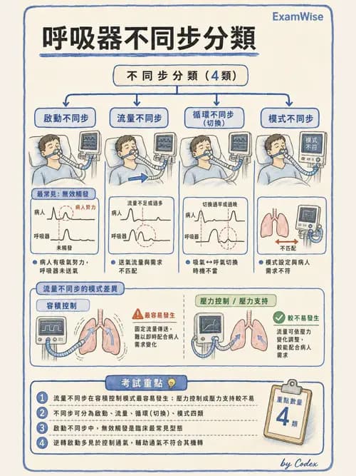 呼吸治療師 - 呼吸器監測與評估 - AI 圖文解析預覽